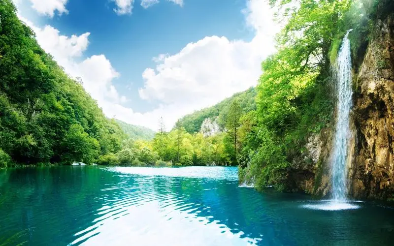 高标准高质量